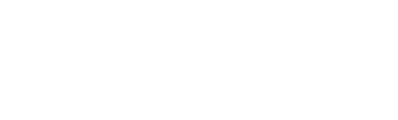 Bianchi Group Developers